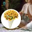 Bộ móc chăn hoa Quà tặng sáng tạo Thủ công Phụ kiện thanh lịch Bộ khởi động móc cho người mới bắt đầu Người lớn Người mới bắt đầu Người đam mê
