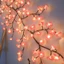 Đèn LED hoa anh đào DYRUIDOJ, Đèn trang trí tường 3D phát sáng, Đèn cổ tích Sáng tạo Đèn trắng ấm áp linh hoạt Dây đèn