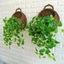 Giỏ hoa PWSEND, Treo tường Handmade Dệt treo chậu trồng cây, Hộp đựng hoa trồng tại nhà & sinh hoạt