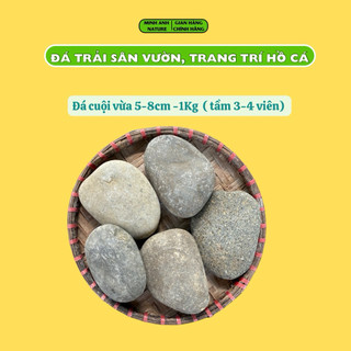 - AAA Đá Cuội Setup Bể Cá Thuỷ Sinh, Đá Trang Trí Sân Vườn , Cuội To Làm Viên Chủ Hồ Cá Biotop & Hồ Cá Koi