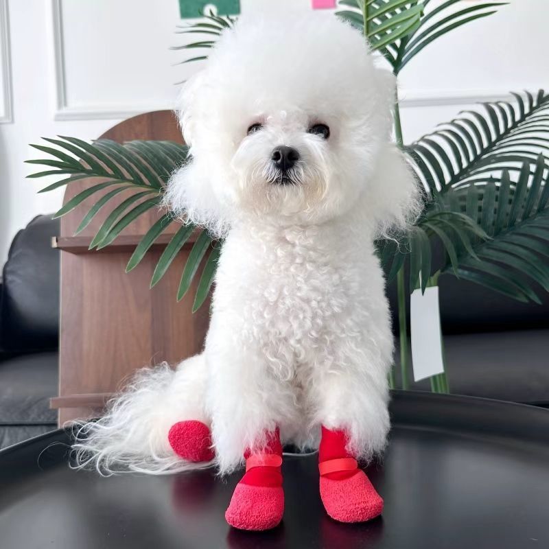 Chân Chó Đi Chơi Chống Trơn Trượt Tất Chống Thấm Nước Đế Mềm Chống Mài Mòn Cho Chó Đi Chơi Thú Cưng Thoáng Khí Chống Bẩn Giày