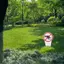 QIUWU "No Dog Poop" Dấu hiệu nhựa Không có lỗ cảnh báo Bãi đậu Dấu hiệu Sân vườn Cảnh báo chống nước ngoài trời cho chủ sở hữu thú cưng Ngăn ngừa ô nhiễm.