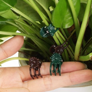 [GIAO HÀNG 3-5 NGÀY] Kẹp cành cây cho cây phong lan và cây leo, Kẹp hỗ trợ bằng nhựa bền, Cố định dễ dàng để huấn luyện cây nho, 50 / 100 / 200 Cái Tùy chọn cho vườn nhà