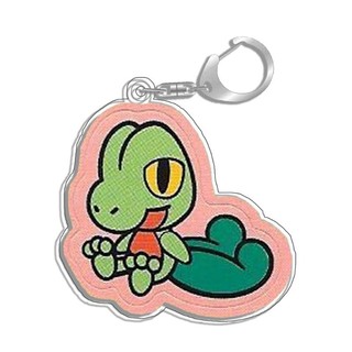 Keychain for Pokemon Treecko Yveltal Wailord Pachirisu Xerneas Lucario Plusle Torchic Togekiss Espurr Pachir