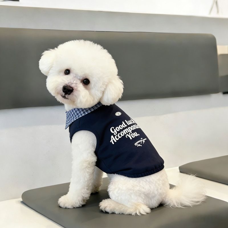 Màu sắc phù hợp cho thú cưng Áo sơ mi Polo mùa xuân hè Quần áo hai chân Teddy Bichon Trang phục