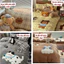 Set Vỏ Chăn Ga Gối Nỉ Make A Wish Memmimbedding luxury hoạ tiết siêu cute, giúp phòng ngủ trở lên đáng yêu