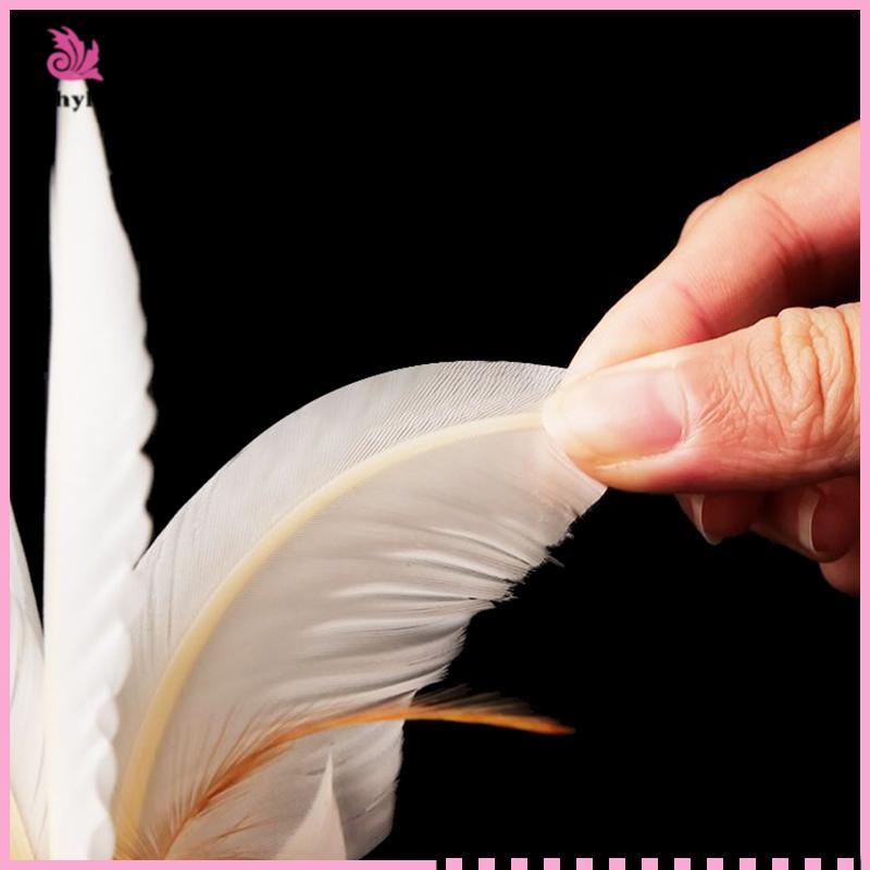 Fancy White Goose Shuttleco - Fitness Entertainment (60-100 chiếc) [MỚI]