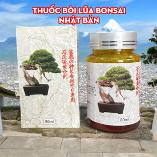 Nước quét lũa cây Nhật Bản tạo lũa trắng ngà đẹp, tránh mối mọt (Nhãn 80ml)