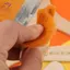 Bộ cọ sơn Nylon HFTOY cho dầu Acrylic màu nước 12 chiếc Bộ vẽ nghệ sĩ chuyên nghiệp có tay cầm bằng gỗ thoải mái cho vải ~