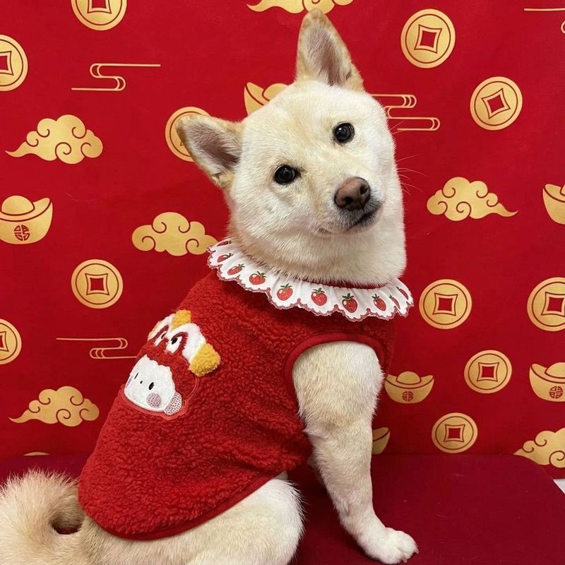 Đỏ Shiba Inu Schnauzer Corgi Chó Lớn Vừa Dễ Thương Thêu Áo Vest Năm Mới Lễ Hội Thú Cưng Lông Cừu Vest