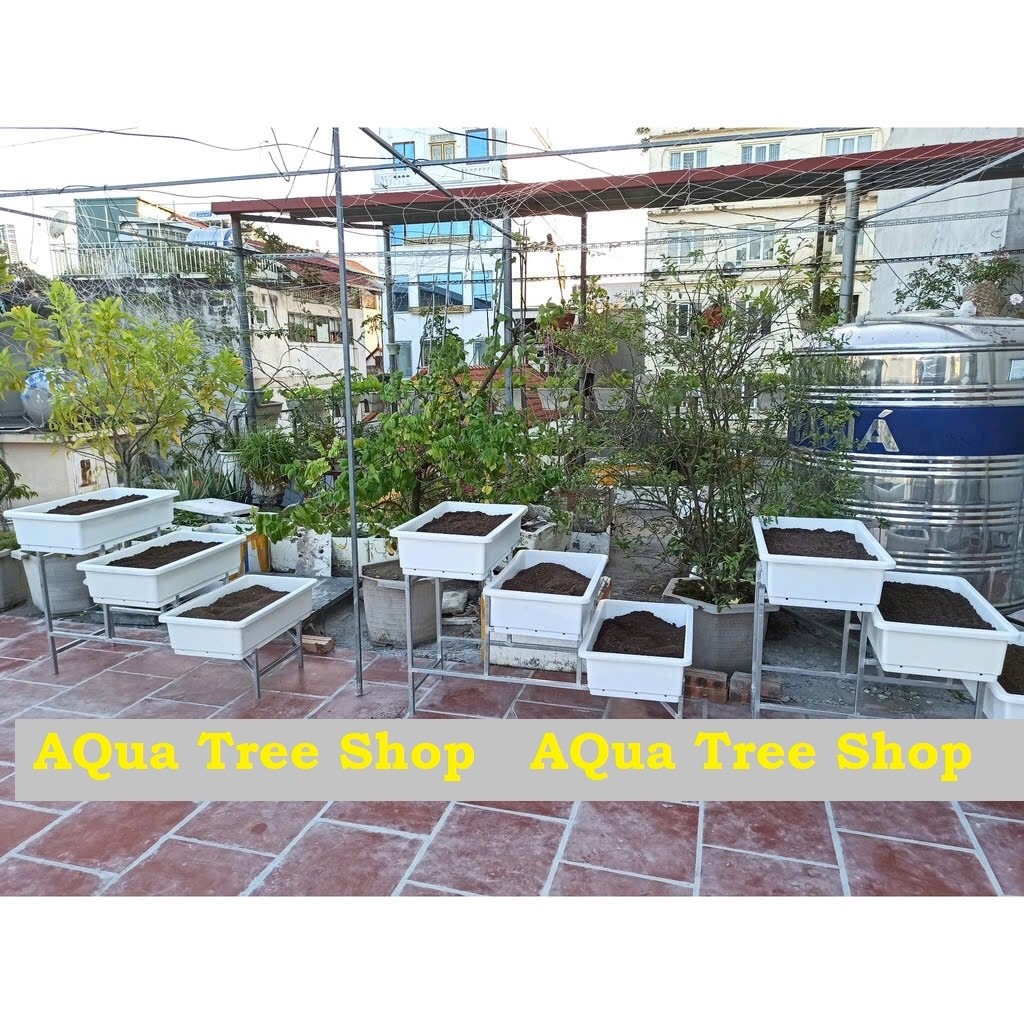 KỆ TRỒNG RAU BẬC THANG 3 TẦNG DÙNG CHO CHẬU CỠ ĐẠI 68X43CM (CHƯA BAO GỒM CHẬU)