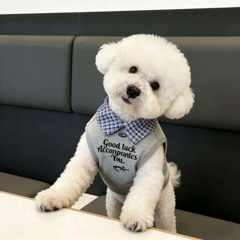 Màu sắc phù hợp cho thú cưng Áo sơ mi Polo mùa xuân hè Quần áo hai chân Teddy Bichon Trang phục