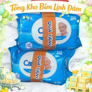 (Hoả tốc ) Khăn ướt giành cho người già Caryn 100 tờ an toàn lành tính