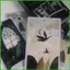 Tarot Cards Trò chơi bảng tương tác Trò chơi bài sưu tập dành cho người mới bắt đầu Thanh niên Người lớn Gia đình Tập hợp Du lịch