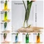 Bình Acrylic DONOVANQQ, Bình hoa hình học trong suốt, Trang trí máy tính để bàn Phong cách INS hiện đại Nhiều màu sắc Trồng hoa thủy canh