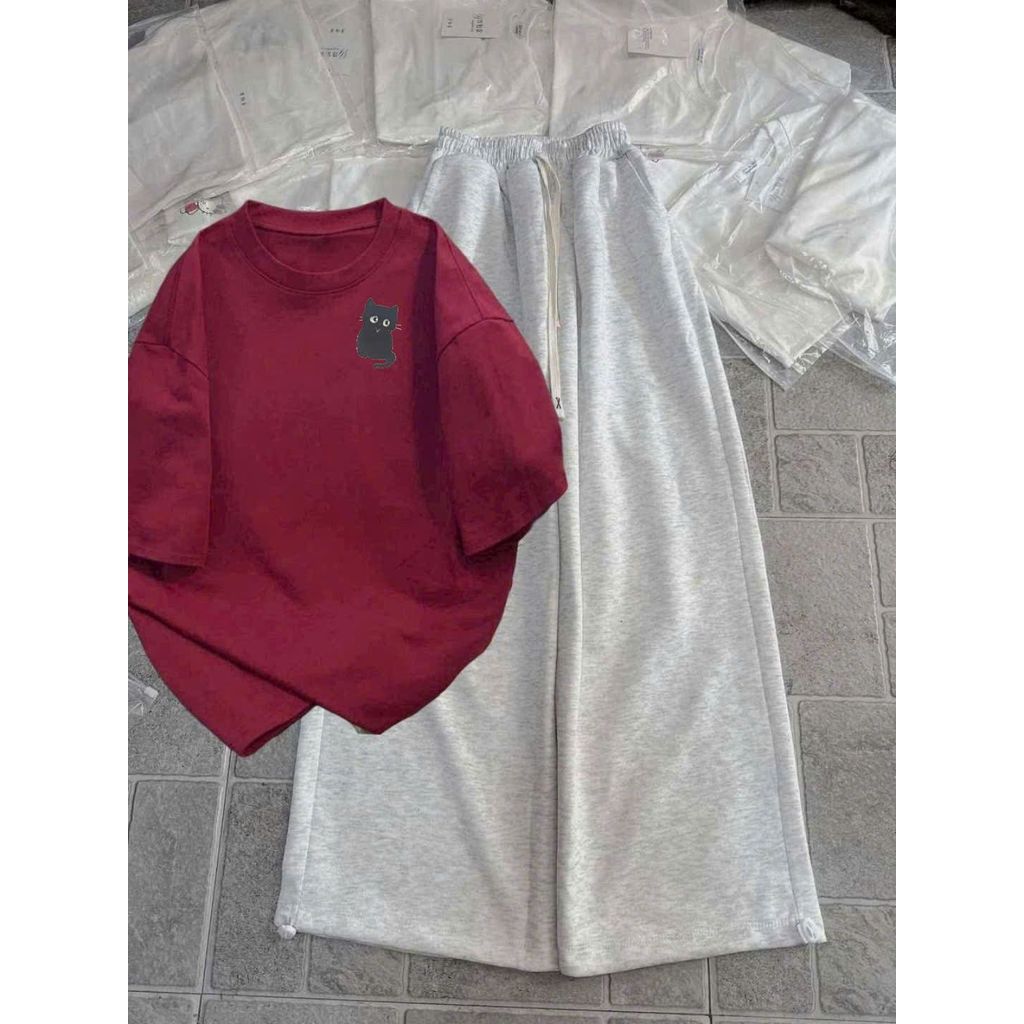 Bộ quần ống rộng da cá xám tiêu dài + phối áo phông form rộng unisex hình con CÚ