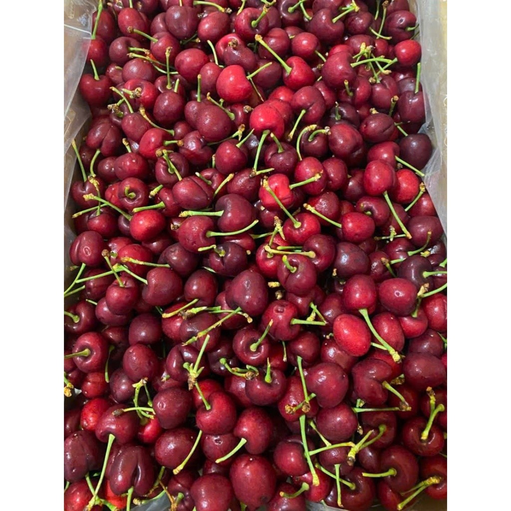 [Ship Hỏa Tốc HCM 1-2 giờ ] 1Kg Cherry Mỹ đầu mùa tươi ngọt [BO-BL-028]