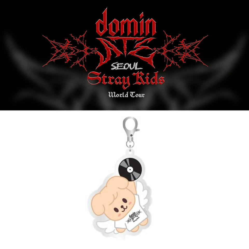 New SKZOO Stray Kids Keychain Cartoon Acrylic Keychain Double sided Pendant, Backpack Accessories Accessories