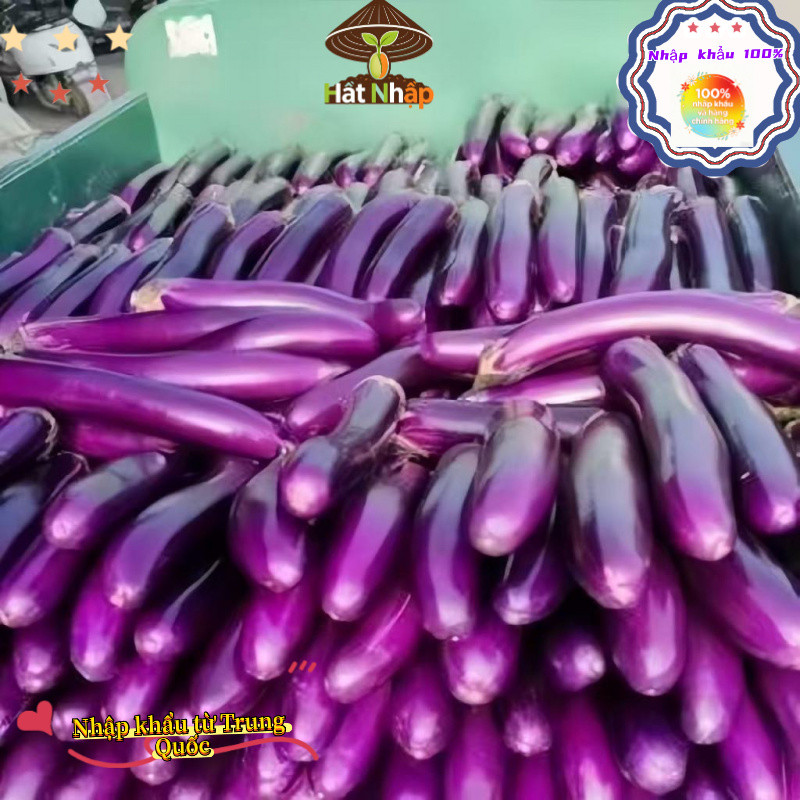 Trung Quốc nhập khẩu，Rồng dàiHẠT GIỐNG CÀ TÍM ,  CAO SẢNBao bì gốc 400 viên nang，-k023
