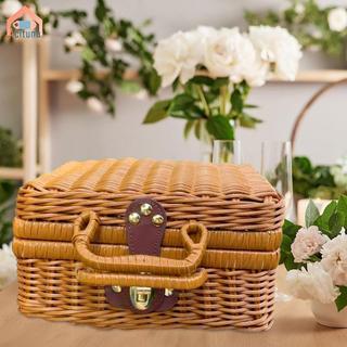 Giả Mây Giỏ Chứa Đồ Mộc Mạc Thanh Lịch Sáng Tạo Hộp Đựng, Dệt Sắp Xếp Vali Hộp Bảo Quản Để Trang Trí Du Lịch