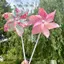 HFTOY Xoay Nhiều Màu Sắc Hoa Cối Xay Gió Trẻ Em Pinwheels Đồ Chơi Ngoài Trời Đảng DIY Số Lượng Lớn Trang Trí Sân Vườn ~