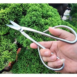 KÉO TỈA DĂM CÂY CẢNH - Bản cao cấp - HD BONSAI Thép trắng không gỉ. Độ dài 210mm Trọng lượng 145g