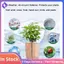 Vỏ cách nhiệt cây chống gió sương giá-Trở dây rút thân thiện với môi trường cho cây trồng trong chậu & cây ăn quả