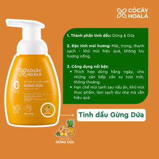 Bọt Rửa Tay Cỏ Cây Hoa Lá Gừng Dứa 250g – Dịu Nhẹ Cho Da Nhạy Cảm, Thiên Nhiên | Nhà Mộc Nhiên