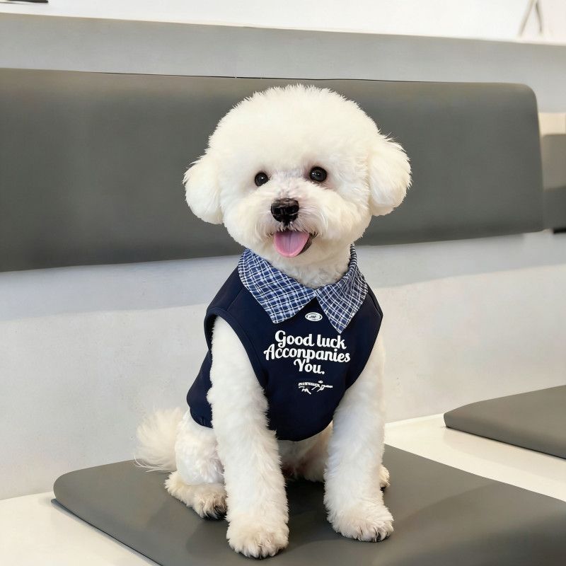 Màu sắc phù hợp cho thú cưng Áo sơ mi Polo mùa xuân hè Quần áo hai chân Teddy Bichon Trang phục