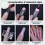 PUSKY 140 Cái / hộp Cong Stiletto 3d Eagle Claw Móng Tay Dạng Kép Cho Poly Nail Gel Nối Dài Của Hawk Điêu Khắc Móng Tay Full Cover Khuôn VN
