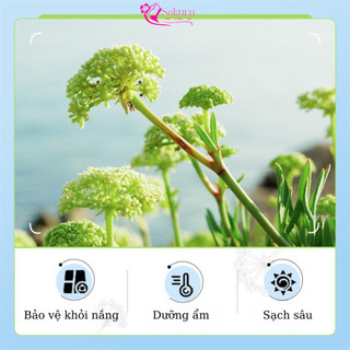 Sữa Rửa Mặt Giúp Sạch Sâu, Tái Tạo Da, Ngừa Mụn, Tạo Hàng Rào Bảo Vệ Da Mịn Màng, Căng Bóng