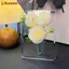 Bình Khung Ảnh Acrylic ZK - Bình Hoa Thủy Canh Hiện Đại Cho Gia Đình / Trang Trí Đám Cưới VN