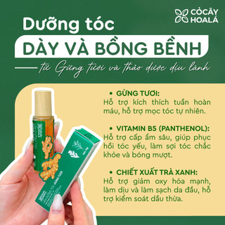 LĂN DƯỠNG TÓC THẢO MỘC CỎ CÂY HOA LÁ 15G HỖ TRỢ LÀM DÀY TÓC, GIẢM RỤNG TÓC, DƯỠNG TÓC CHẮC KHỎE