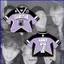 GN 2025 BTS FESTA Bangtan Boys áo thun dạo phố Áo thun tay ngắn NG
