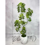 Cây Giả Ngũ Gia Bì Nhập Khẩu Lá Nhựa In 5D Không Chậu – Decor Phòng Khách Văn Phòng Khách Sạn Nhà Hàng – Cảnh Nhi Flower — ảnh 3