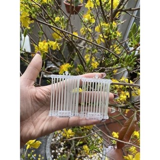 Rọ đựng cào cào, rọ đựng dế cào cào cáp quang