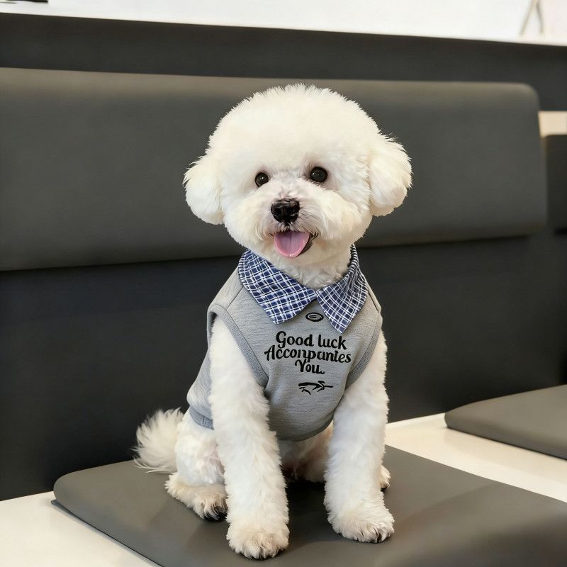 Màu sắc phù hợp cho thú cưng Áo sơ mi Polo mùa xuân hè Quần áo hai chân Teddy Bichon Trang phục