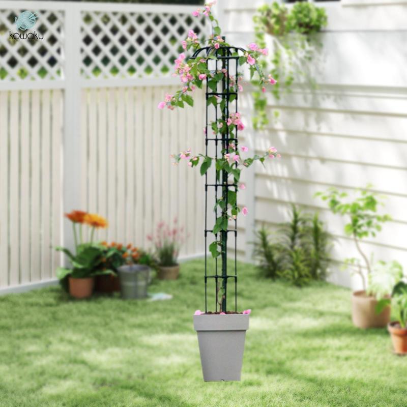 Garden Obelisk Trellis Khung leo cây đa chức năng Giá đỡ hoa cho