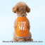 Áo vest thú cưng cỡ S-2XL, GOD GOT ​​In văn bản ME, Có nhiều màu sắc và thoáng khí cho mùa hè, thích hợp cho cả sử dụng trong nhà và ngoài trời, và phù hợp với tất cả chó mèo nhỏ.