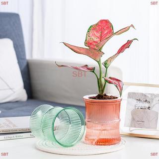 [SB] Chậu hoa thủy canh lười biếng Chậu hoa hấp thụ nước tự động trong suốt hai lớp nhựa tự tưới nước văn phòng MỚI