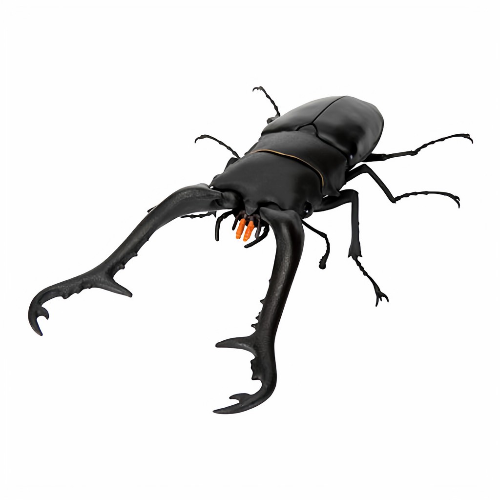 [BTF] Hàng có sẵn BANDAI Capsule Toy Sinh học Sách minh họa lớn 11 Beetle Stag Beetle Mô phỏng Đồ trang trí côn trùng S03Y