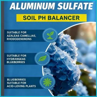 Phân bón Hydrangea Sửa đổi điều chỉnh PH lâu dài 100g Phân bón axit cho cây trồng cho vườn nhà enmdavn