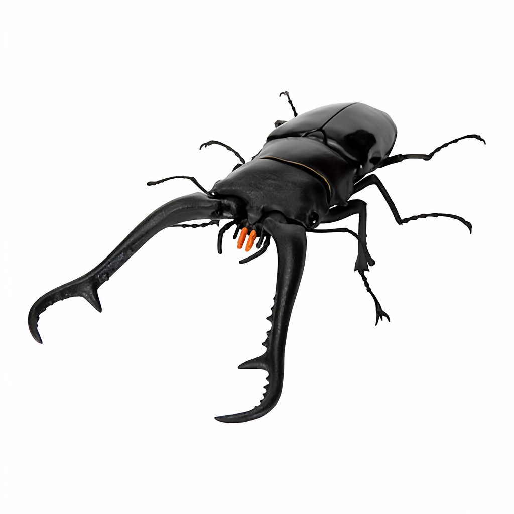[BTF] Hàng có sẵn BANDAI Capsule Toy Sinh học Sách minh họa lớn 11 Beetle Stag Beetle Mô phỏng Đồ trang trí côn trùng S03Y
