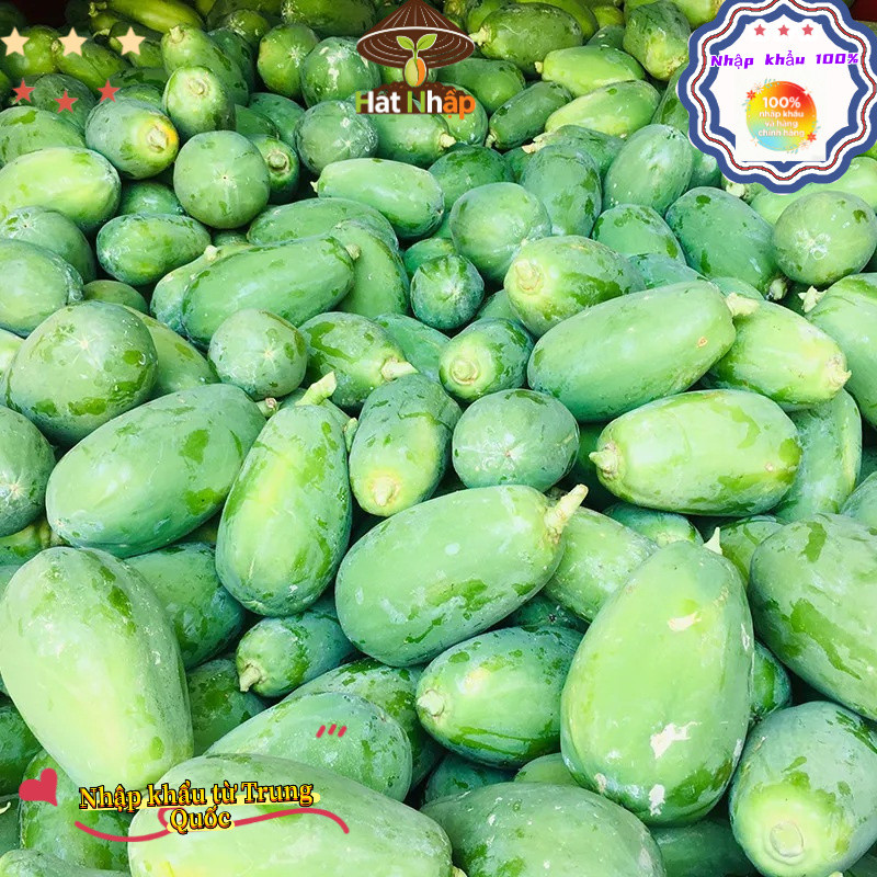Imported red-fleshed papaya from China,Hạt Giống Đu Đủ Ruột Đỏ Sinh Trưởng KhoẻOriginal packaging 50 caps-k019