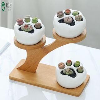 Cây mọng nước tre Giá đỡ vật liệu tự nhiên Kệ hoa nhỏ nhiều lớp cho máy tính để bàn văn phòng tại nhà