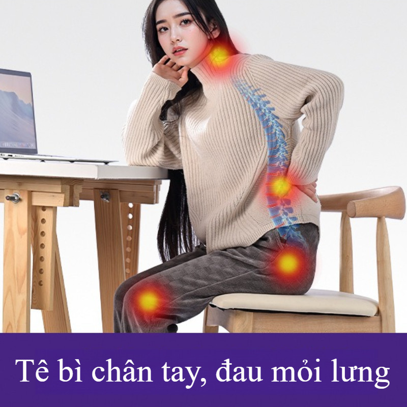 Ghế Chỉnh Dáng PET Công Thái,Hỗ Trợ Xương Sống,Giảm Đau Mỏi,Học Gấp Gọn,điều chỉnh tư thế ngồi, Đệm Silicon Tổ Ong