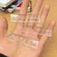 BEABOUT 1 Thước Thẳng, Túi Có Thước Mini Wave Line, Dụng Cụ Đo Vẽ Di Động Trong Suốt Thước Trường Học Văn Phòng