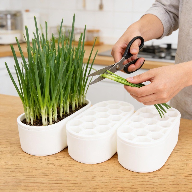 Chậu trồng cây nhà bếp cầm tay Tái tạo trồng cây-Tốt tỏi thủy canh không đất Rau củ