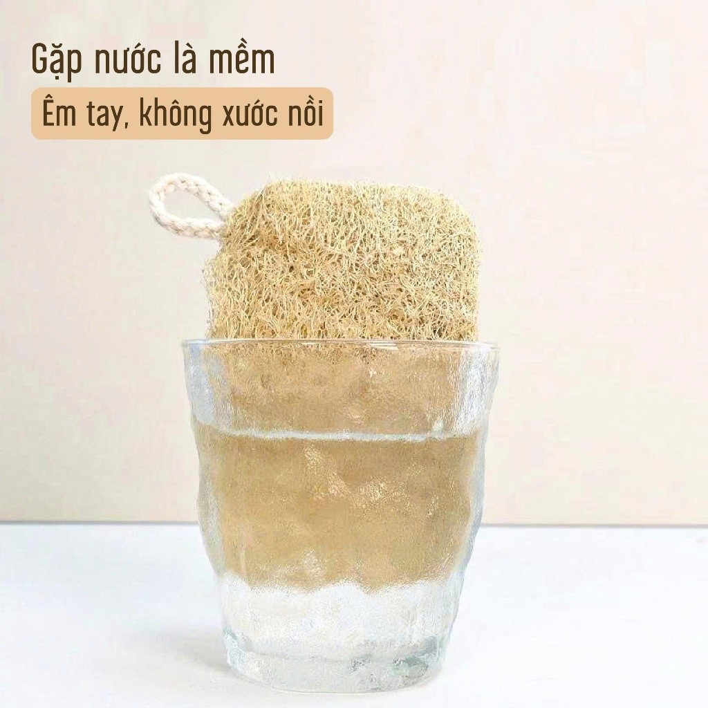 [Combo] Miếng Rửa Chén Bát Xơ Mướp Tự Nhiên An Toàn Sức Khỏe Thân Thiện Với Môi Trường