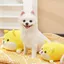 Chó Lớn Dễ Thương Chó Sang Trọng Thú Cưng Giọng Nói Lợn sủa Cắn Chống Mài Mòn Chán Giảm Đồ Dùng Ngộ nghĩnh Chiến Đấu Pháp Búp Bê Corgi